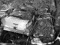 Autofriedhof - 145